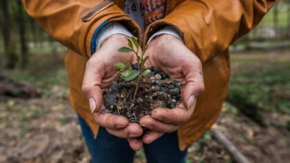 Un projet de reforestation citoyenne excite l'intérêt de la population locale
